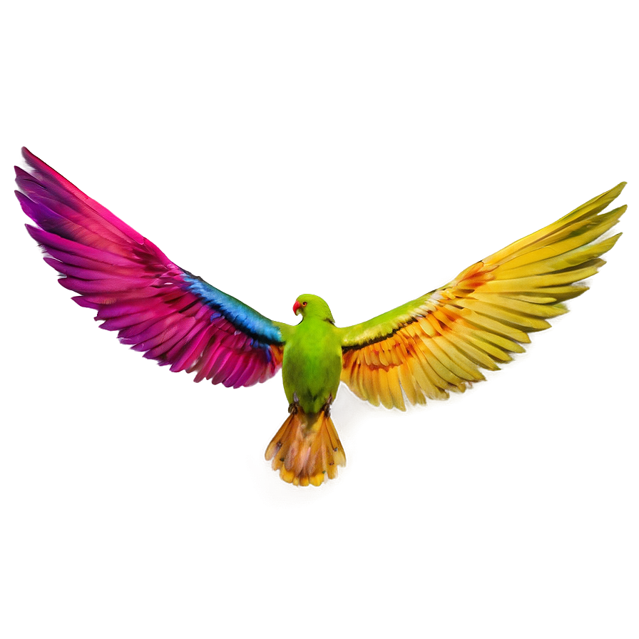 Colorful Wings Png 1 PNG image