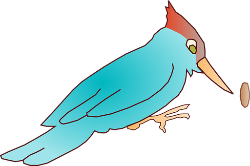 Colorful Woodpecker Illustration PNG image