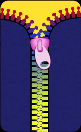 Colorful Zipper Illustration PNG image
