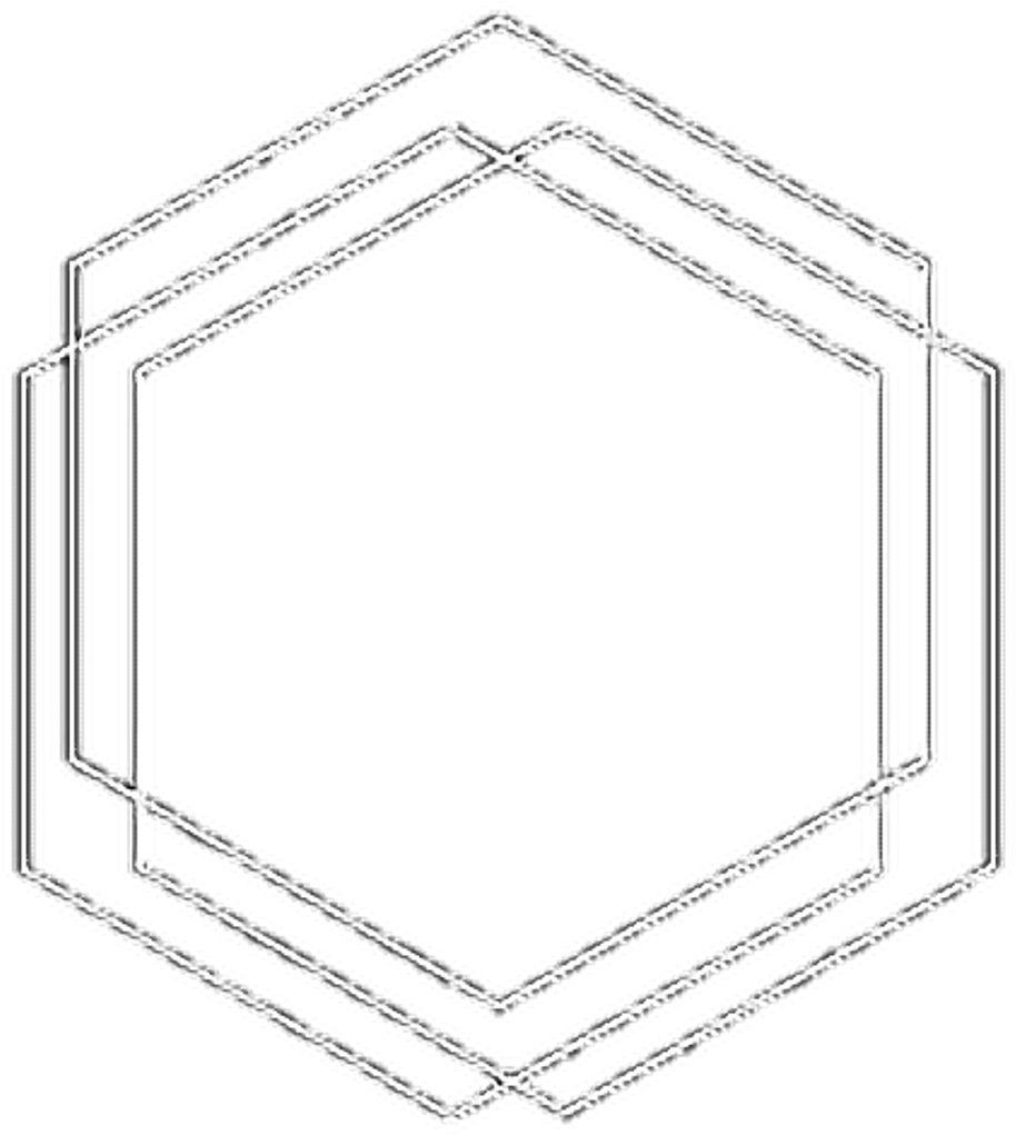 Concentric Hexagons Outline PNG image
