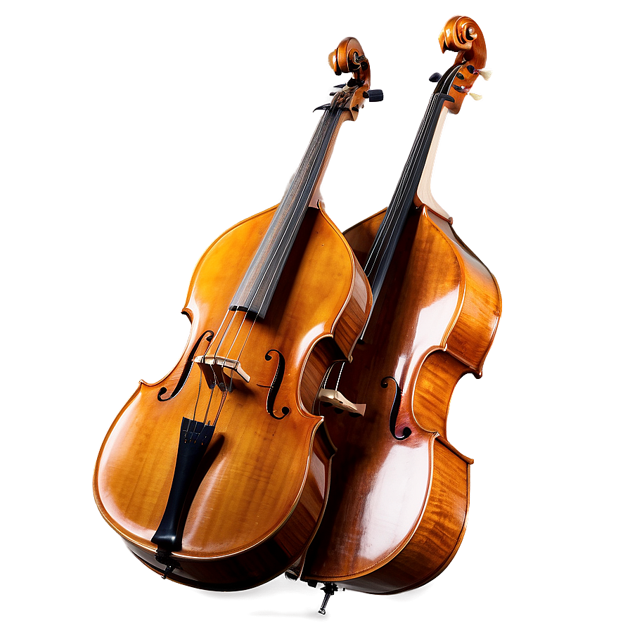 Concert Double Bass Png 06242024 PNG image