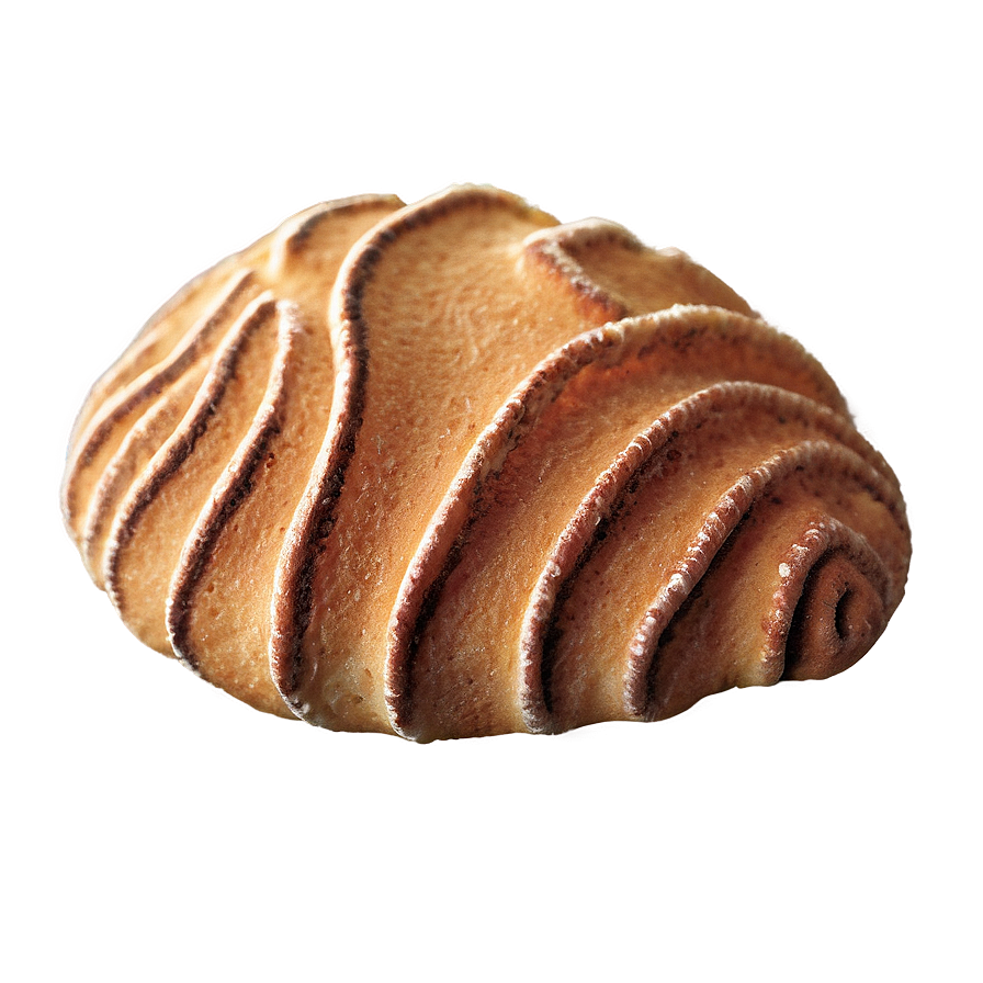 Concha With Cinnamon Sugar Png 06122024 PNG image