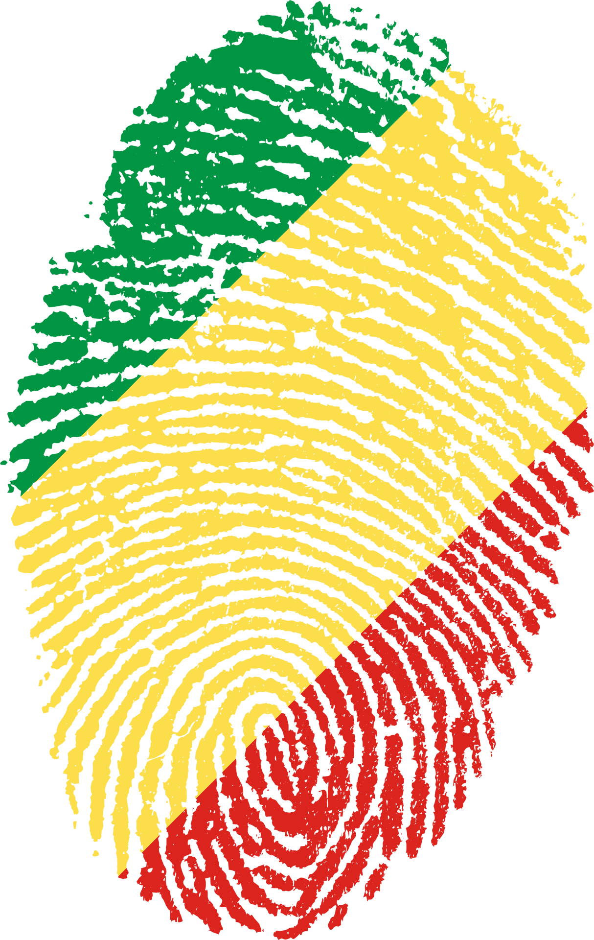 Congo Flag Fingerprint Pattern PNG image