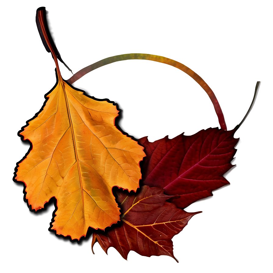 Connecticut Fall Foliage Png Jvo PNG image