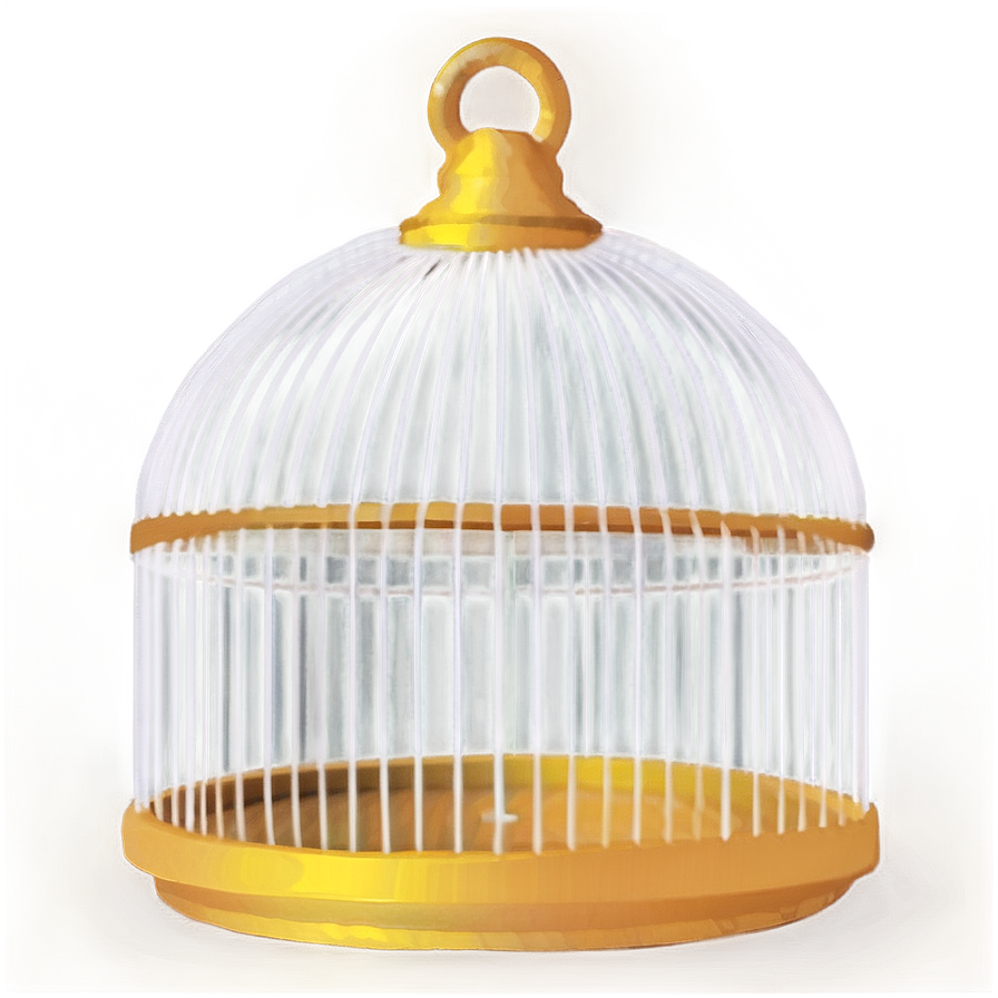 Contemporary Birdcage Png 05252024 PNG image