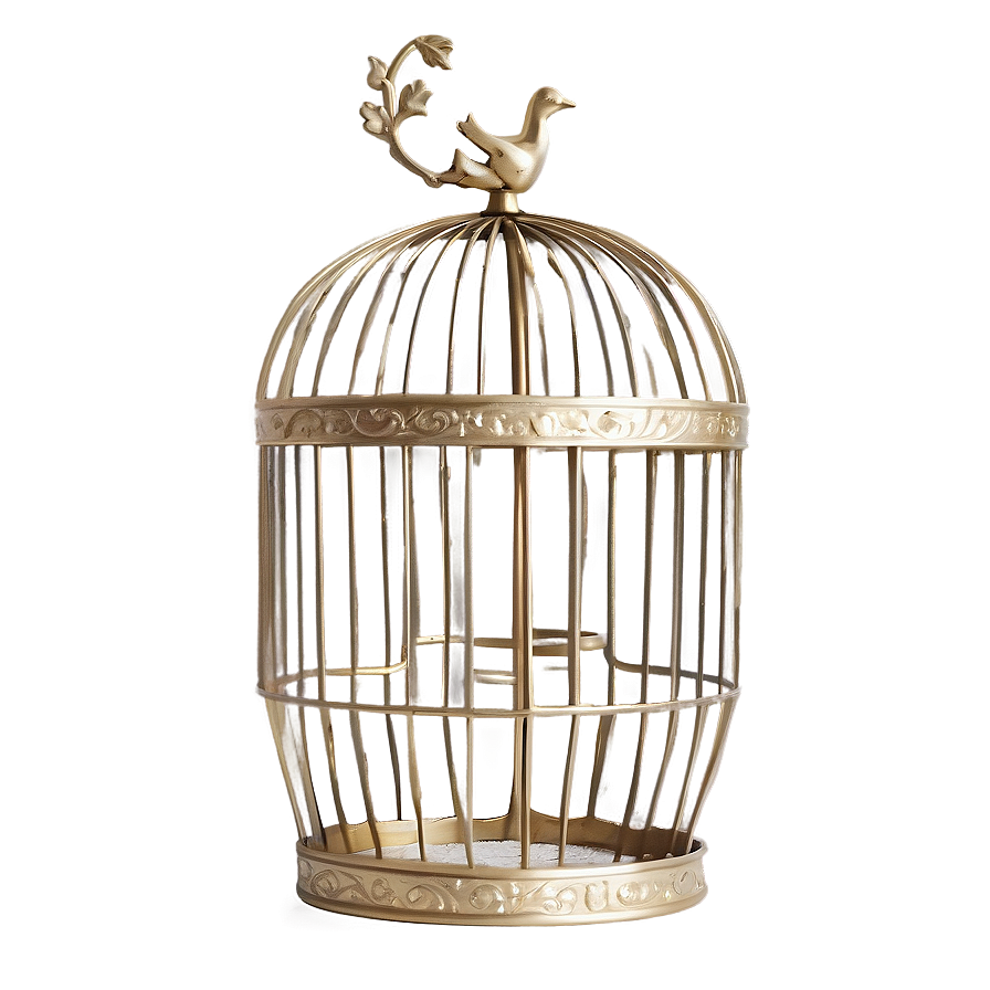 Contemporary Birdcage Png 05252024 PNG image