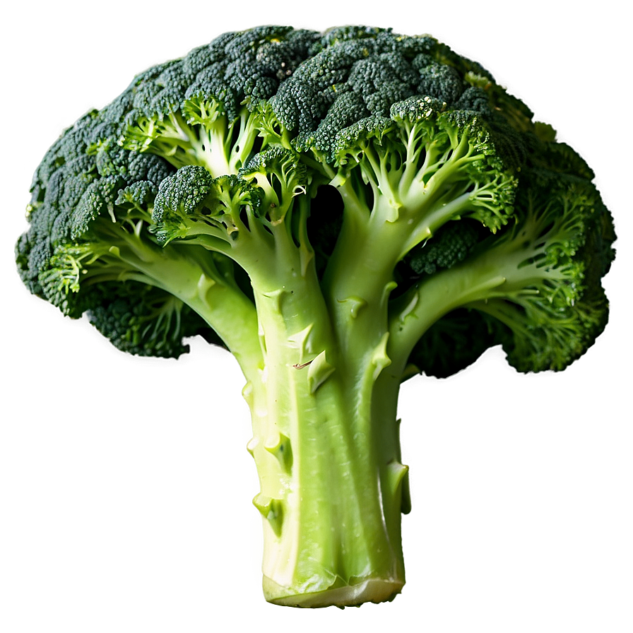 Cooked Broccoli Png Ajp PNG image