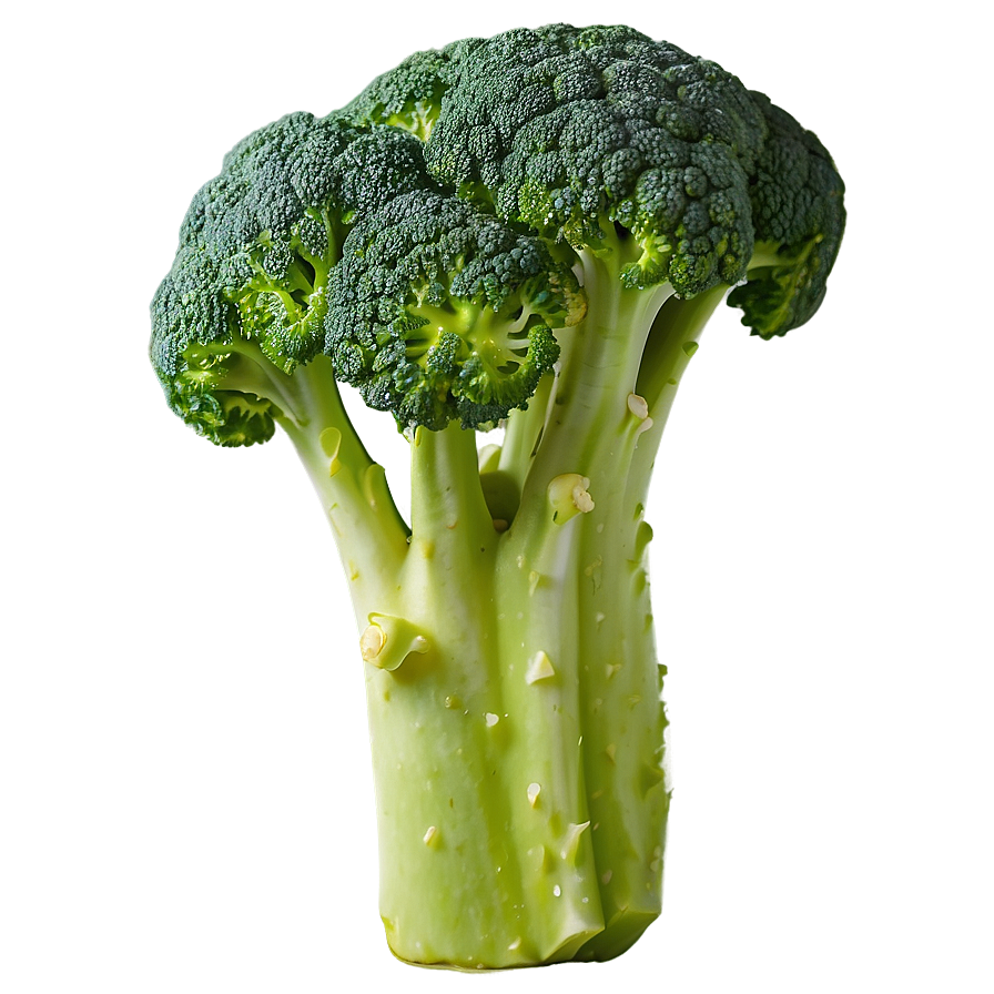 Cooked Broccoli Png Spy PNG image