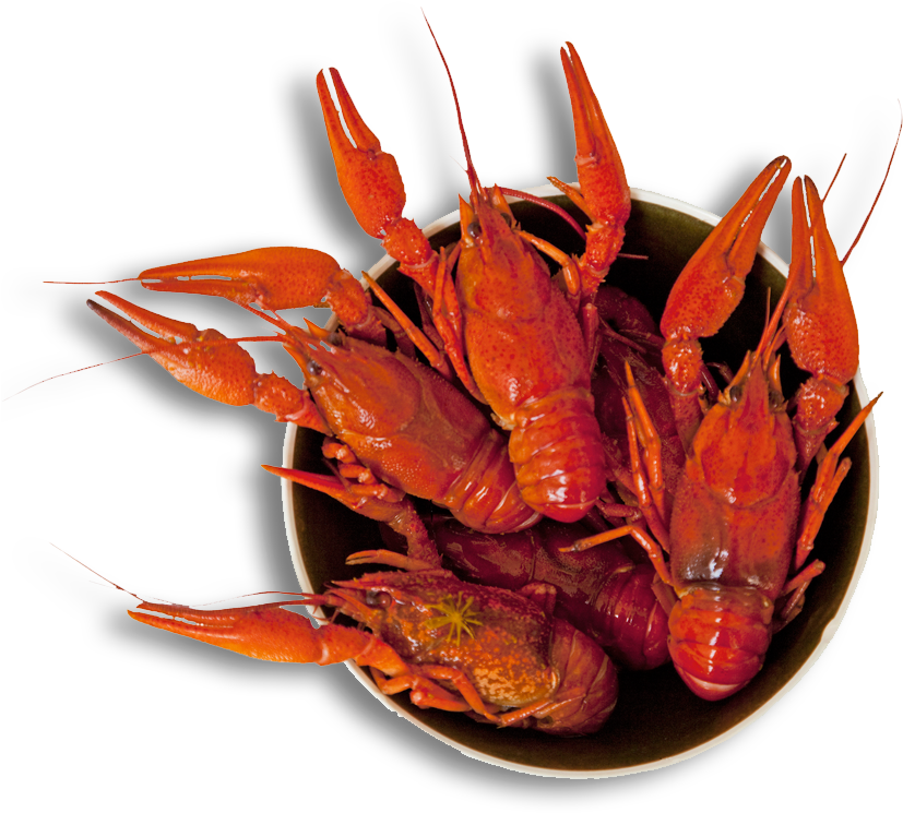 Cooked Crayfishin Bowl PNG image