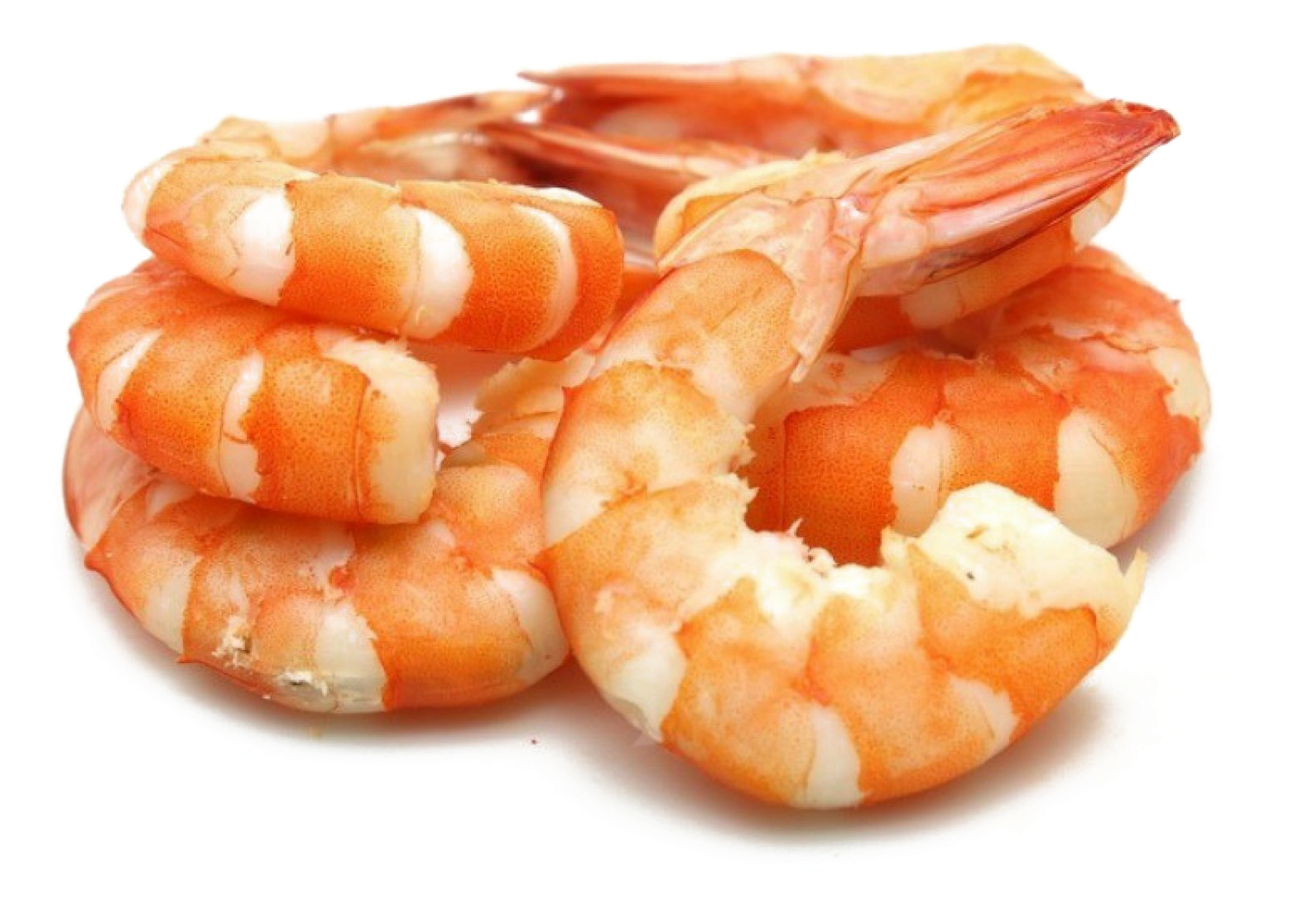 Cooked Shrimp Closeup.png PNG image