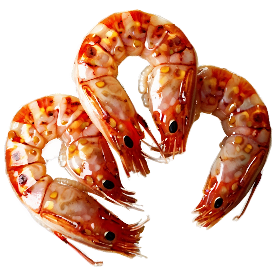 Cooked Shrimp Png Mer PNG image