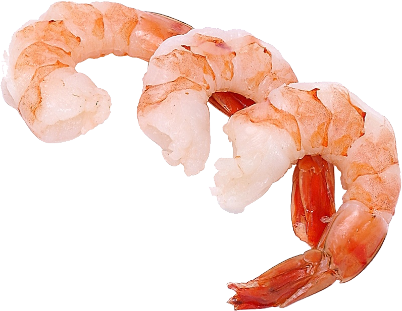 Cooked Shrimp Transparent Background PNG image