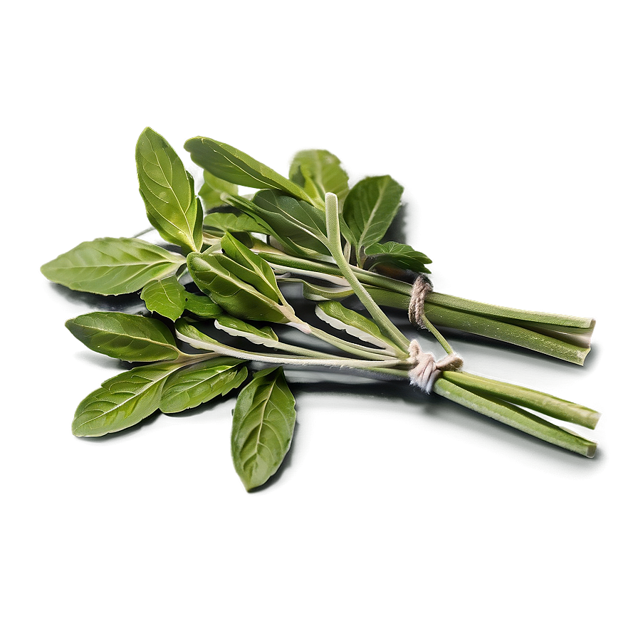 Cooking With Herbs Png Fmy PNG image