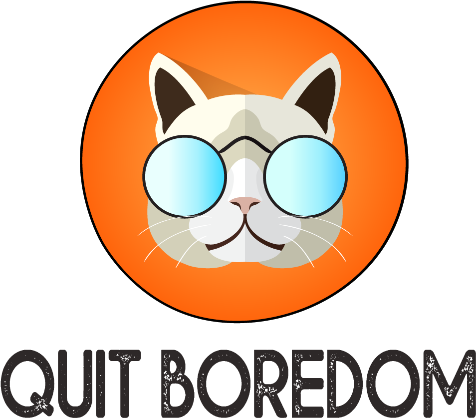 Cool Cat Meme Quit Boredom PNG image