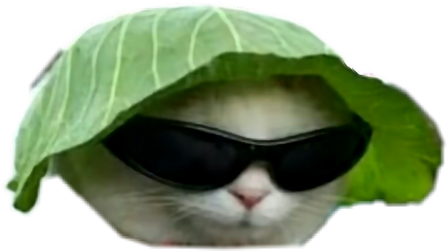 Cool Cat With Leaf Hatand Sunglasses.png PNG image