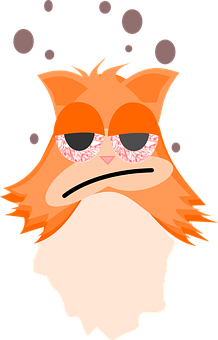 Cool Cat With Sunglasses PNG image