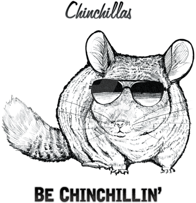 Cool Chinchilla Sunglasses Artwork PNG image