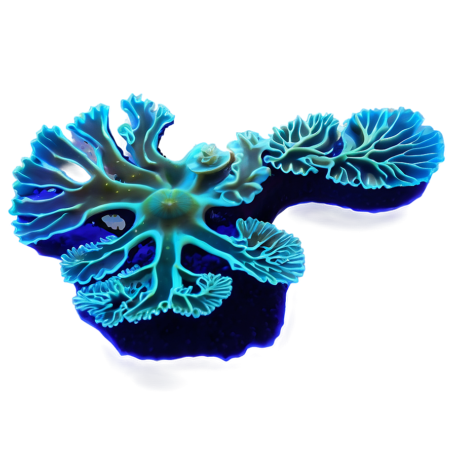 Coral Reef Bioluminescence Png 05242024 PNG image