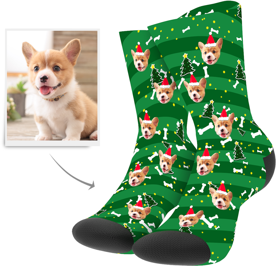 Corgi Christmas Socks Design PNG image