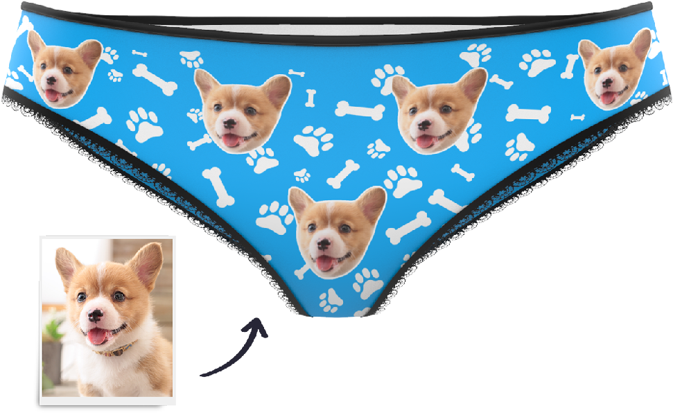 Corgi Print Pantieswith Bone Motif PNG image