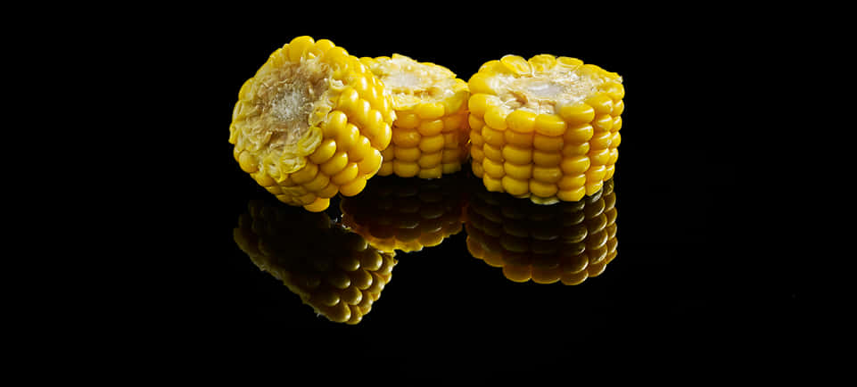 Corn Cob Reflectionon Black Background PNG image