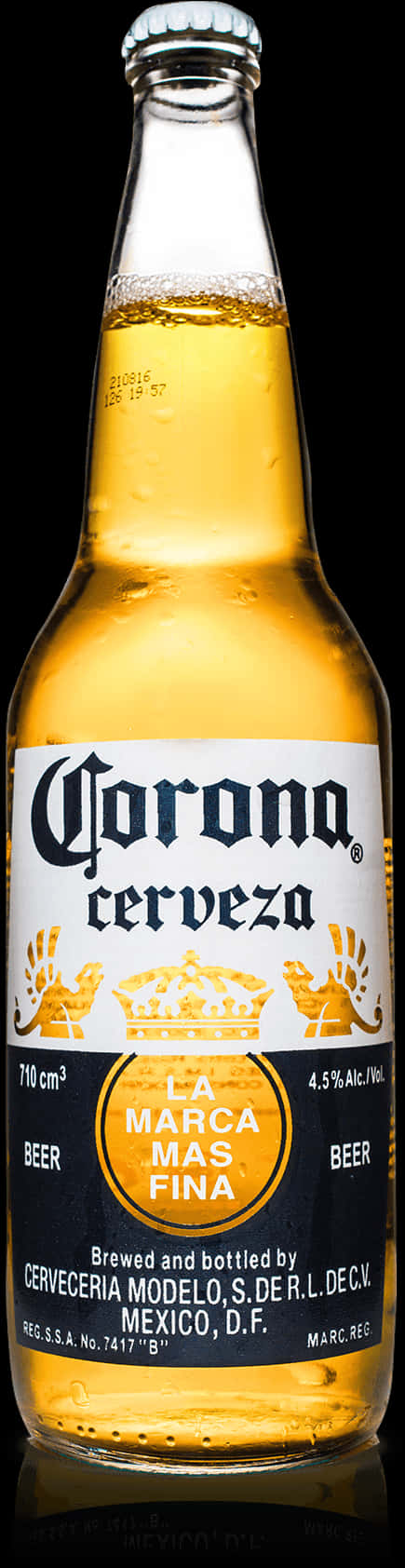 Corona Beer Bottle Studio Shot PNG image