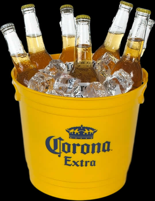 Corona Extra Beer Bucket Chilled PNG image