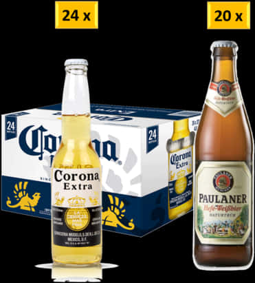 Corona Extraand Paulaner Beer Comparison PNG image