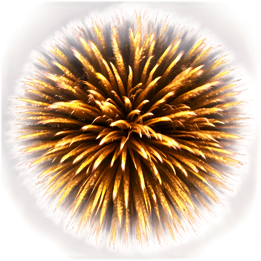 Cosmic Gold Fireworks Png 06292024 PNG image