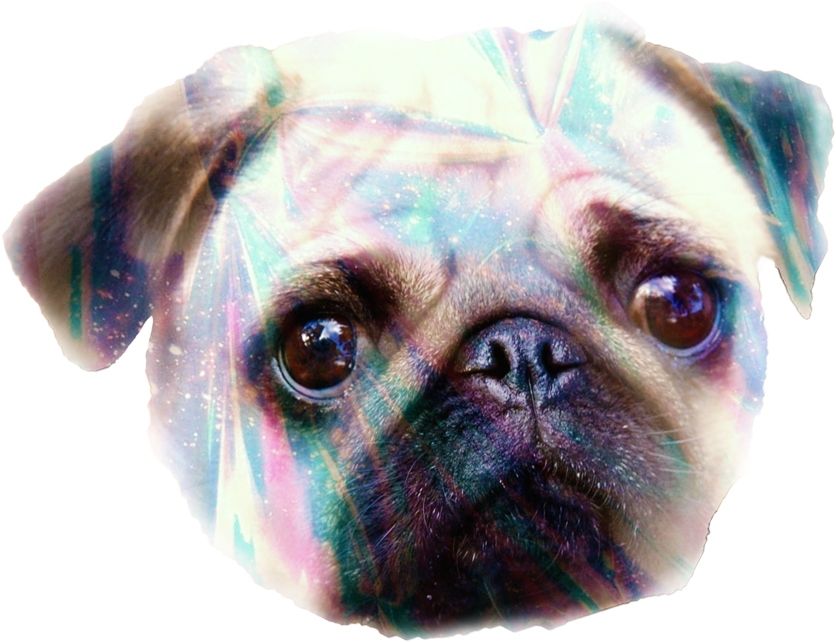 Cosmic Pug Portrait PNG image