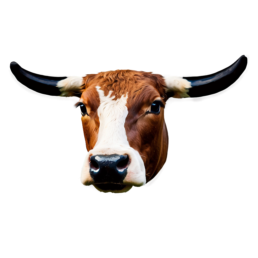 Cow Face With Bow Png Rcx37 PNG image