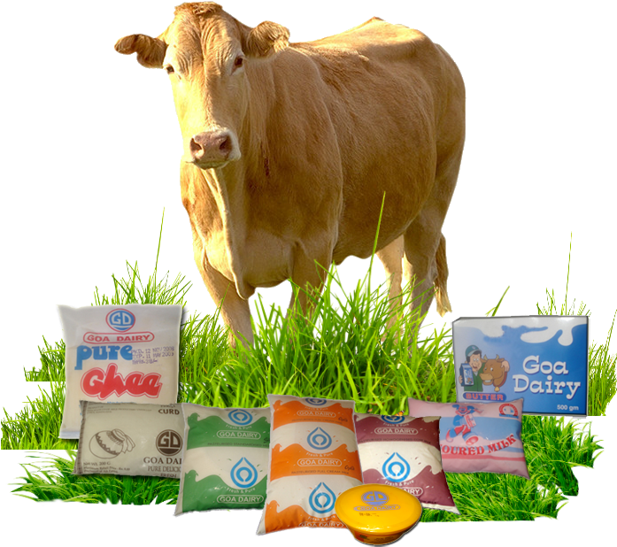 Cowand Dairy Products Display PNG image