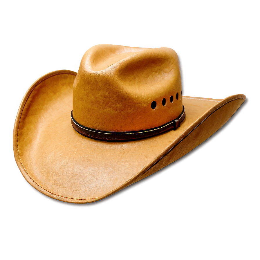 Cowgirl Hat B PNG image