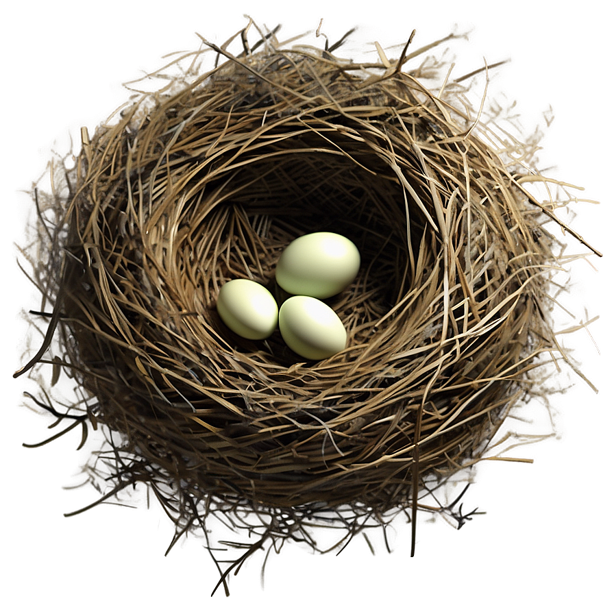 Cozy Bird Nest Png 31 PNG image