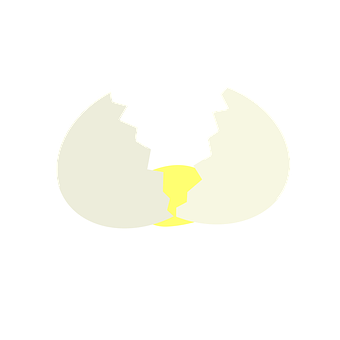 Cracked Egg Vector Illustration PNG image