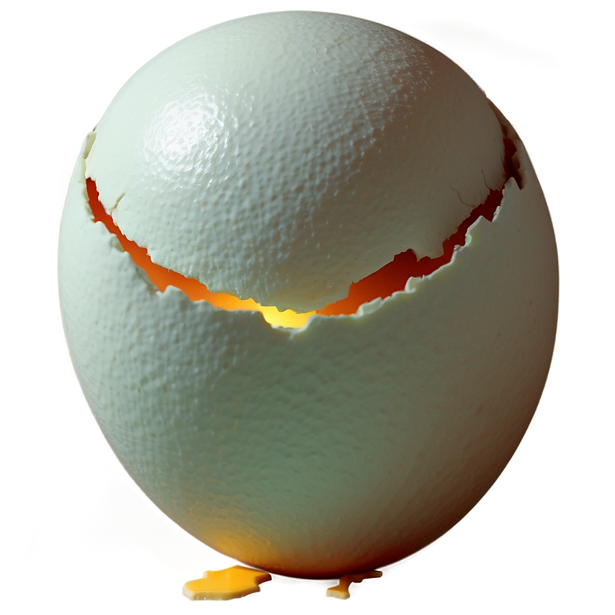 Cracked Eggshell Concept Png 48 PNG image