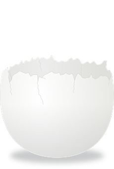 Cracked Eggshell Graphic PNG image