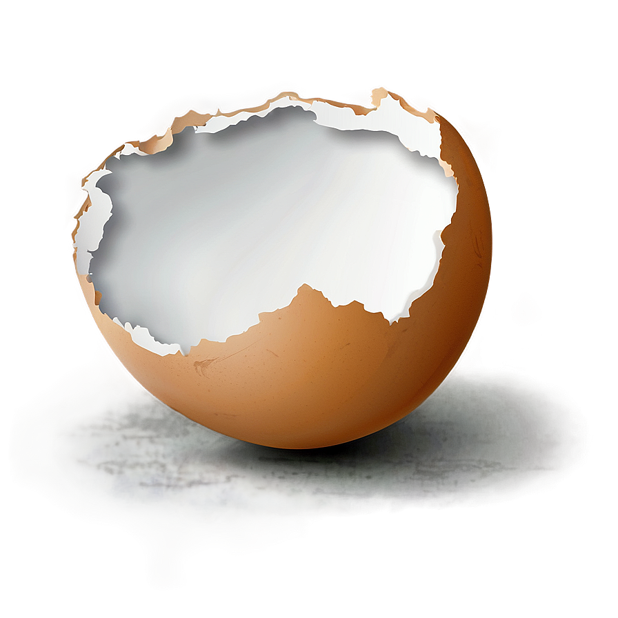 Cracked Eggshell Illustration Png Csm49 PNG image