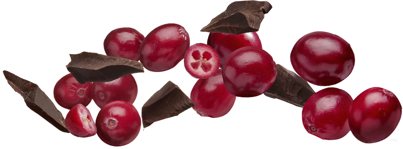 Cranberriesand Chocolate Pieces PNG image