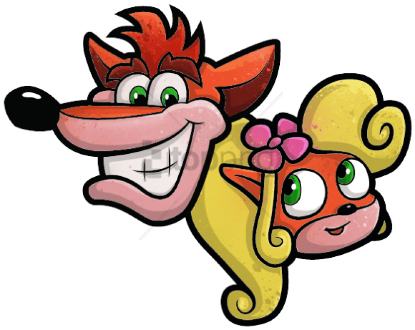 Crash_and_ Coco_ Cartoon_ Style PNG image