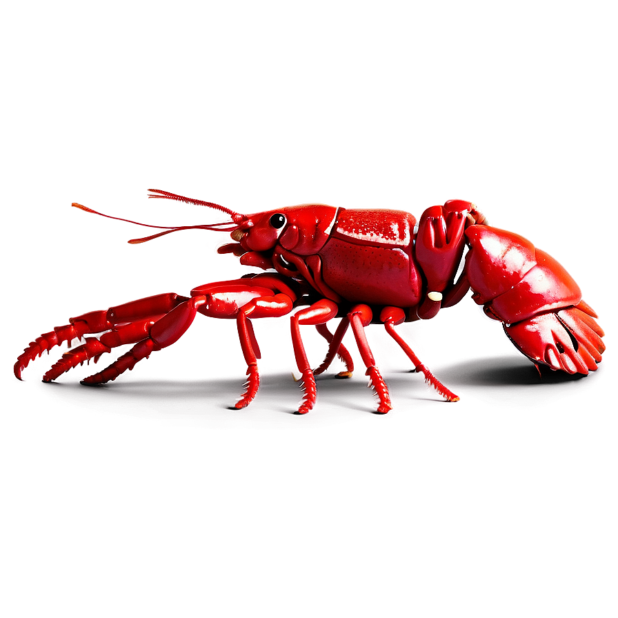 Crawfish A PNG image