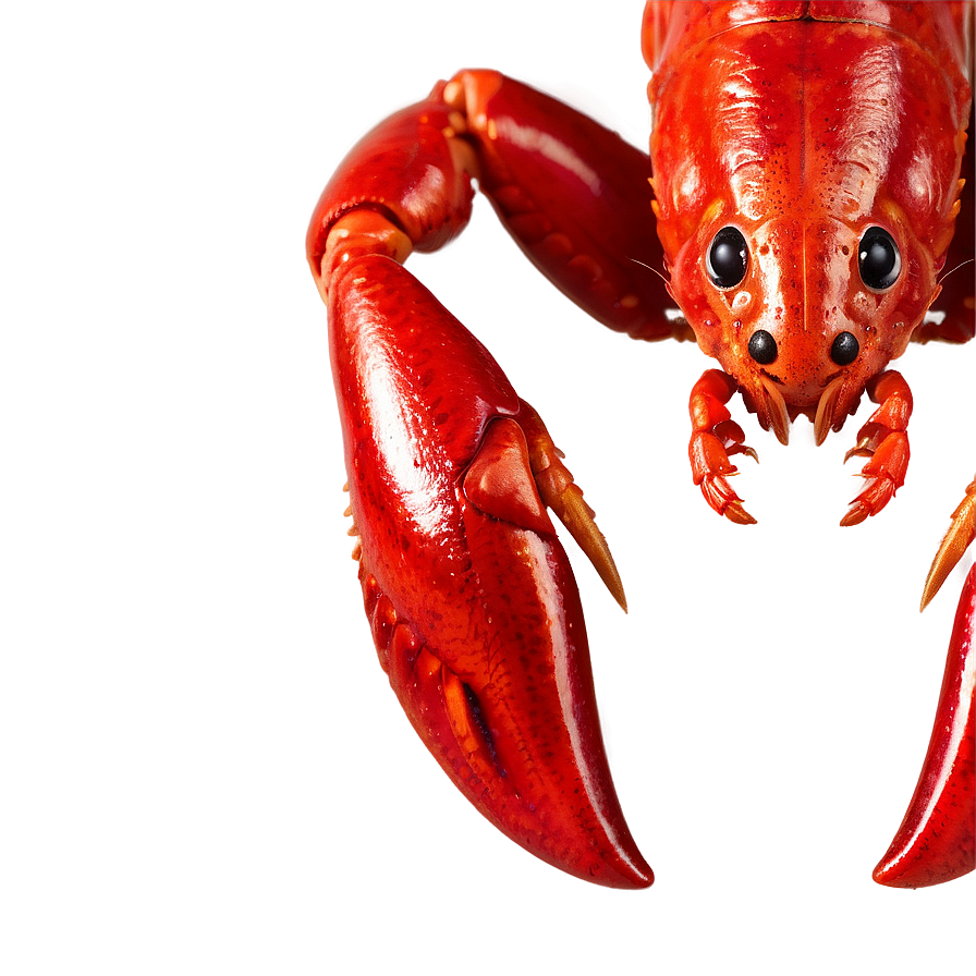 Crawfish C PNG image