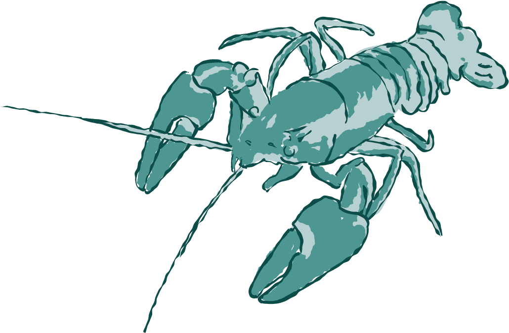 Crayfish Illustration Artwork PNG image