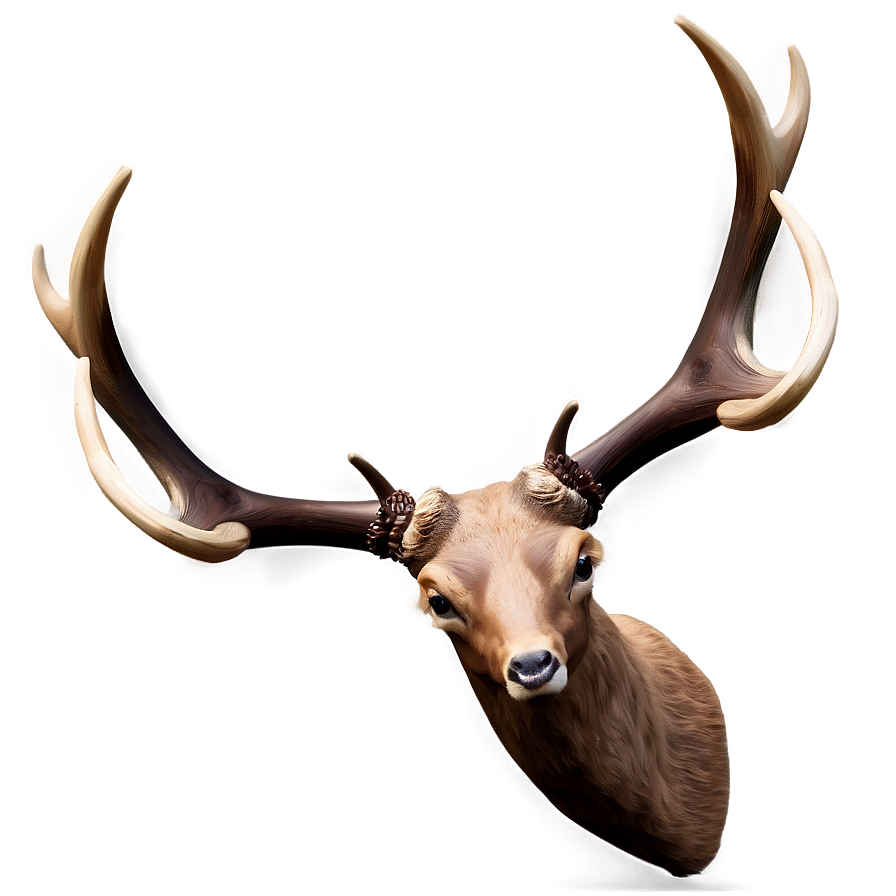 Creative Antler Concept Png 97 PNG image