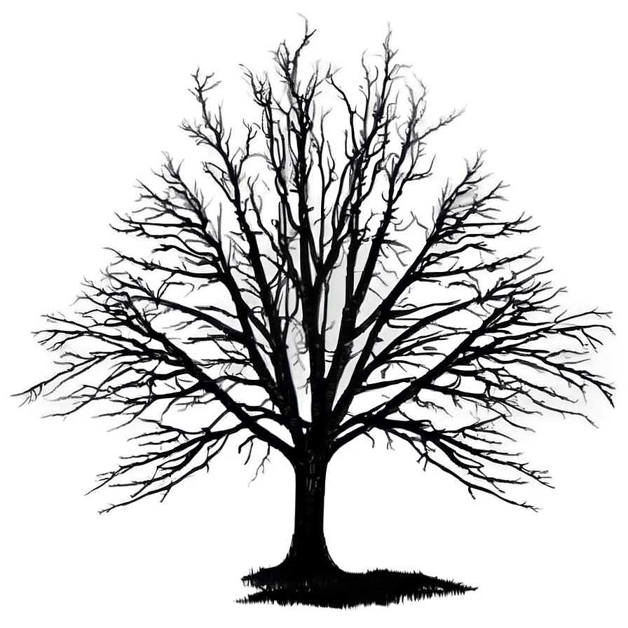 Creepy Fogged Trees Png 05042024 PNG image