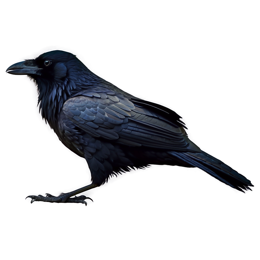 Creepy Raven In Fog Png 06122024 PNG image