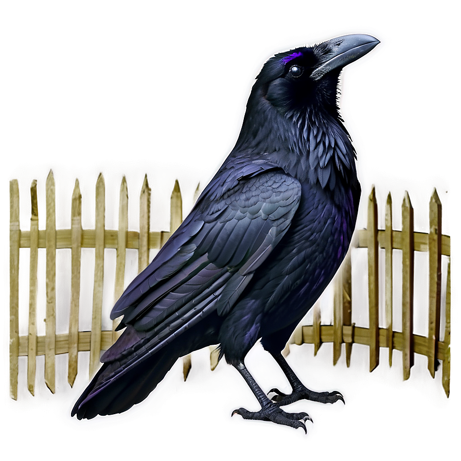 Creepy Raven Png 37 PNG image