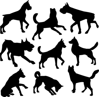 Crescent Moonin Dark Sky PNG image