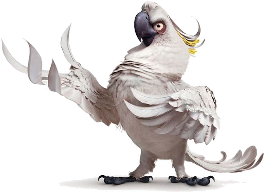 Crested Cockatoo Pose PNG image