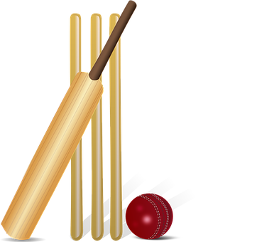 Cricket Equipment Illustration PNG image